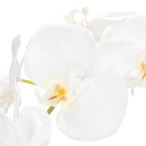 položky Umělá orchidej, klamně realistická, pro dekoraci kanceláře a obývacího pokoje, 62 cm