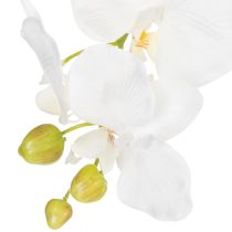 položky Umělá orchidej, klamně realistická, pro dekoraci kanceláře a obývacího pokoje, 62 cm