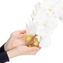 položky Umělá orchidej, klamně realistická, pro dekoraci kanceláře a obývacího pokoje, 62 cm