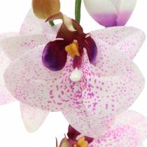 Umělá orchidej Phaleanopsis White, Fialová 43cm