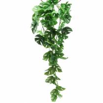 Věšák filodendron zelený 85cm