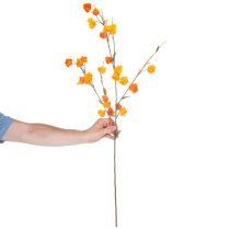 položky Umělá rostlina čínského lampionu, větvička Physalis s květy, 95 cm