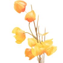 položky Umělá rostlina čínského lampionu, větvička Physalis s květy, 95 cm
