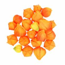 položky Physalis Orange Assorted 22ks dekorativních umělých květinových kalichů