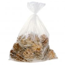 položky Šišky Pinus Šišky krém míchaný 5-18cm 25 ks