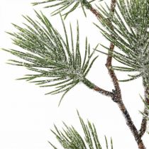 Vánoční větve Borovicová větvička Snowed 54cm 3ks ve svazku