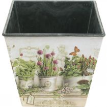 položky Květináč na bylinky, květináč s motivem, květináč V13cm Š13,5cm