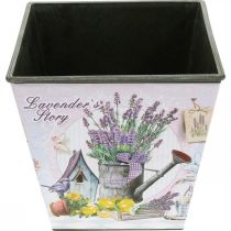 položky Květináč s motivem levandule, čtvercový dekorativní květináč, plastový hrnec V13cm Š13,5cm