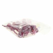 položky Plumosum 1 Erika 25 ks