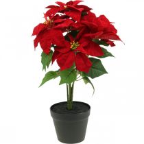 Umělá vánoční hvězda červená Umělé květiny v květináči V53cm