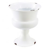 položky Váza na šálek dekorativní šálek bílá rezavá Ø13,5cm V15cm Shabby Chic