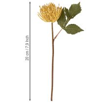 položky Umělý jehelníček Protea Leucospermum žlutý 30cm 6 ks