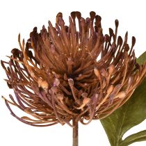 položky Umělý jehelníček Protea Leucospermum fialový 30cm 6 ks