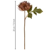 položky Umělý jehelníček Protea Leucospermum fialový 30cm 6 ks