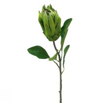 položky Protea Zelená Červená Umělá květina Umělá větev L65cm Ø5,5cm