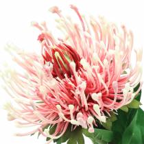 Protea umělá růžová 73 cm