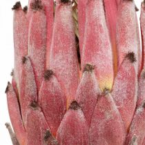 Artificial Protea Red Exotic umělá květina V55cm