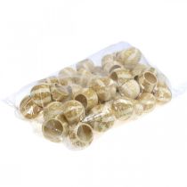 položky Dýňová dekorace Bell Cup Pumpkin Cup bělený 50 ks