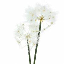 Umělá luční květina obří pampeliška bílá 57cm