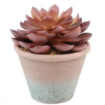 položky Sukulentní rostlina v květináči Echeveria umělá červená vintage Ø15cm H16cm