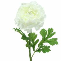 položky Ranunculus bílý H45cm