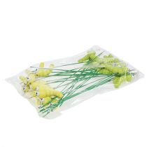 položky Dřevěná housenka na špejli zelená, žlutá 8cm 24 ks