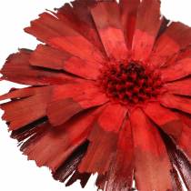 položky Repens Rosette Red 8cm - 9cm 25 ks