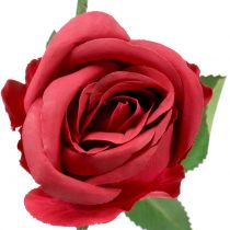 Růže červená 44cm 6ks