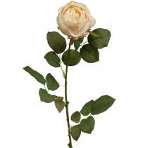 Barva růže krémová, květ hedvábí, umělá růže L74cm Ø7cm