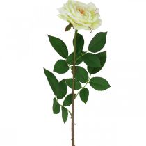 položky Umělá růže, dekorativní růže, hedvábný květ krémově bílá, zelená L72cm Ø12cm