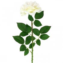 položky Hedvábný květ, růže na stonku, umělá rostlina krémově bílá, růžová L72cm Ø13cm
