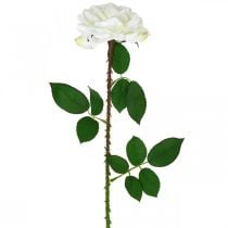 Bílá růže Falešná růže na stonku Hedvábný květ Falešná růže L72cm Ø13cm