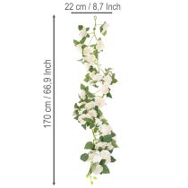 položky Girlanda z umělých růží s bílými květy na dekoraci, 170 cm