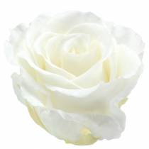 Infinity růže velké Ø5,5-6cm bílé 6ks