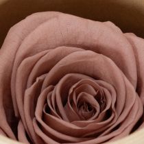 položky Konzervované růžové hlávky, romantický dárek, růže s dlouhou životností pro zvláštní příležitosti, 5 cm, 6 kusů
