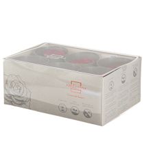 položky Červené růže Infinity Roses Pravé růžové hlávky červené Ø6cm 6 ks