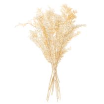 položky Sušená dekorativní větvička Ruscus, bělená Ruscus, 200g