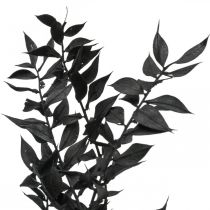 Ruscus větve dekorativní větve sušené květiny černé 200g