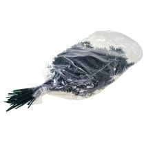 položky Ruscus zelené ozdobné větve tmavě zelené 75-95cm 1kg