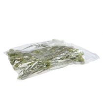 položky Sabulosum větvičky 4-6 zelené matné 25 ks