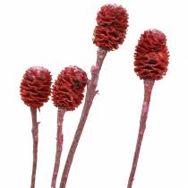 Deco větve Sabulosum červená matná 4-6 25 kusů