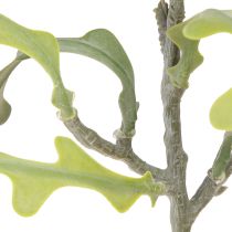 položky Umělá pila Leaf Cactus Epiphyllum anguliger L68cm 3 ks