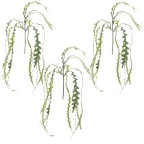 položky Umělá pila Leaf Cactus Epiphyllum anguliger L68cm 3 ks