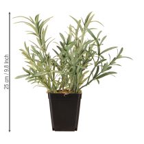 položky Šalvěj v květináči Salvia Lavandulifolia Artificial H25cm