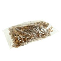 položky Salignum light 4-6 květů na větvi Leucadendron 100 kusů