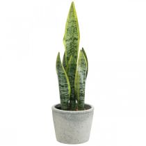 Umělý luk konopí, zelená rostlina v květináči, Sansevieria H39cm Ø12cm