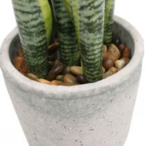 Umělý luk konopí, zelená rostlina v květináči, Sansevieria H39cm Ø12cm
