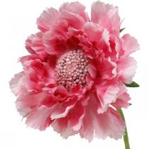 Umělá květinová dekorace, svrab umělá květina růžová 64cm svazek 3ks