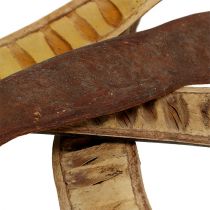 položky Scaletta lusk přírodní 25cm - 50cm 25 ks