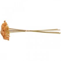 položky Řebříček umělé umělé květiny oranžová 50cm 5ks v svazku